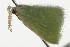  ( - BIOUG37465-F01)  @12 [ ] CreativeCommons - Attribution (2018) CBG Photography Group Centre for Biodiversity Genomics