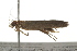  ( - BIOUG37468-E04)  @13 [ ] CreativeCommons - Attribution (2018) CBG Photography Group Centre for Biodiversity Genomics