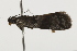  ( - BIOUG37470-A06)  @12 [ ] CreativeCommons - Attribution (2018) CBG Photography Group Centre for Biodiversity Genomics