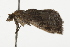  ( - BIOUG37470-C02)  @11 [ ] CreativeCommons - Attribution (2018) CBG Photography Group Centre for Biodiversity Genomics