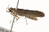 ( - BIOUG37464-H01)  @13 [ ] CreativeCommons - Attribution (2018) CBG Photography Group Centre for Biodiversity Genomics