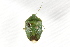  ( - BIOUG37523-F04)  @11 [ ] CreativeCommons - Attribution (2018) CBG Photography Group Centre for Biodiversity Genomics