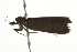 ( - BIOUG37469-E05)  @11 [ ] CreativeCommons - Attribution (2018) CBG Photography Group Centre for Biodiversity Genomics