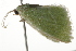  ( - BIOUG37473-B03)  @12 [ ] CreativeCommons - Attribution (2018) CBG Photography Group Centre for Biodiversity Genomics