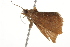  ( - BIOUG37474-F05)  @11 [ ] CreativeCommons - Attribution (2018) CBG Photography Group Centre for Biodiversity Genomics
