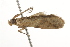  ( - BIOUG37476-H03)  @11 [ ] CreativeCommons - Attribution (2018) CBG Photography Group Centre for Biodiversity Genomics