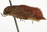  ( - BIOUG37477-B05)  @11 [ ] CreativeCommons - Attribution (2018) CBG Photography Group Centre for Biodiversity Genomics