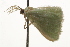  ( - BIOUG37477-F07)  @12 [ ] CreativeCommons - Attribution (2018) CBG Photography Group Centre for Biodiversity Genomics
