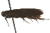  ( - BIOUG37478-B02)  @12 [ ] CreativeCommons - Attribution (2018) CBG Photography Group Centre for Biodiversity Genomics
