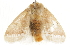  ( - BIOUG37661-E08)  @11 [ ] CreativeCommons - Attribution (2018) CBG Photography Group Centre for Biodiversity Genomics