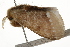  ( - BIOUG37662-E09)  @11 [ ] CreativeCommons - Attribution (2018) CBG Photography Group Centre for Biodiversity Genomics