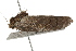  ( - BIOUG37741-E12)  @11 [ ] CreativeCommons - Attribution (2018) CBG Photography Group Centre for Biodiversity Genomics