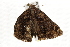  ( - BIOUG37738-C04)  @13 [ ] CreativeCommons - Attribution (2018) CBG Photography Group Centre for Biodiversity Genomics