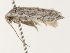  ( - BIOUG45814-G07)  @11 [ ] CreativeCommons - Attribution (2020) CBG Photography Group Centre for Biodiversity Genomics