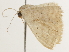  ( - BIOUG45815-F09)  @11 [ ] CreativeCommons - Attribution (2020) CBG Photography Group Centre for Biodiversity Genomics