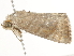  ( - BIOUG45815-H04)  @12 [ ] CreativeCommons - Attribution (2020) CBG Photography Group Centre for Biodiversity Genomics