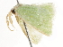  ( - BIOUG45816-B10)  @12 [ ] CreativeCommons - Attribution (2020) CBG Photography Group Centre for Biodiversity Genomics
