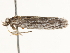  ( - BIOUG45818-B11)  @12 [ ] CreativeCommons - Attribution (2020) CBG Photography Group Centre for Biodiversity Genomics
