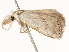  ( - BIOUG45819-C07)  @11 [ ] CreativeCommons - Attribution (2020) CBG Photography Group Centre for Biodiversity Genomics