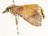  ( - BIOUG45824-G03)  @12 [ ] CreativeCommons - Attribution (2020) CBG Photography Group Centre for Biodiversity Genomics