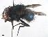  ( - BIOUG45868-G09)  @11 [ ] CreativeCommons - Attribution (2019) CBG Photography Group Centre for Biodiversity Genomics
