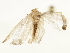  ( - BIOUG46115-C12)  @12 [ ] CreativeCommons - Attribution (2020) CBG Photography Group Centre for Biodiversity Genomics