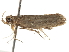  ( - BIOUG45812-A02)  @14 [ ] CreativeCommons - Attribution (2020) CBG Photography Group Centre for Biodiversity Genomics