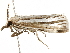  ( - BIOUG51282-E06)  @12 [ ] CreativeCommons - Attribution (2019) CBG Photography Group Centre for Biodiversity Genomics