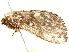  ( - BIOUG51285-E05)  @11 [ ] CreativeCommons - Attribution (2019) CBG Photography Group Centre for Biodiversity Genomics