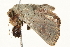  ( - BIOUG04699-C08)  @12 [ ] CreativeCommons - Attribution (2013) CBG Photography Group Centre for Biodiversity Genomics