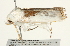  ( - BIOUG04700-F06)  @12 [ ] CreativeCommons - Attribution (2013) CBG Photography Group Centre for Biodiversity Genomics