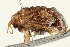  ( - BIOUG04700-H07)  @13 [ ] CreativeCommons - Attribution (2013) CBG Photography Group Centre for Biodiversity Genomics