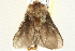 ( - BIOUG04701-F08)  @13 [ ] CreativeCommons - Attribution (2013) CBG Photography Group Centre for Biodiversity Genomics