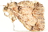  ( - BIOUG04701-G12)  @13 [ ] CreativeCommons - Attribution (2013) CBG Photography Group Centre for Biodiversity Genomics