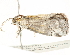  ( - BIOUG04701-H01)  @14 [ ] CreativeCommons - Attribution (2013) CBG Photography Group Centre for Biodiversity Genomics