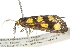  ( - BIOUG04702-B03)  @12 [ ] CreativeCommons - Attribution (2013) CBG Photography Group Centre for Biodiversity Genomics
