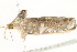  ( - BIOUG04703-A07)  @13 [ ] CreativeCommons - Attribution (2013) CBG Photography Group Centre for Biodiversity Genomics