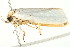  ( - BIOUG04703-E10)  @12 [ ] CreativeCommons - Attribution (2013) CBG Photography Group Centre for Biodiversity Genomics
