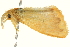  ( - BIOUG04706-F02)  @12 [ ] CreativeCommons - Attribution (2013) CBG Photography Group Centre for Biodiversity Genomics