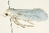  ( - BIOUG04706-G05)  @12 [ ] CreativeCommons - Attribution (2013) CBG Photography Group Centre for Biodiversity Genomics