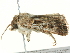  ( - BIOUG05361-C03)  @14 [ ] CreativeCommons - Attribution (2013) CBG Photography Group Centre for Biodiversity Genomics