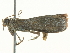  ( - BIOUG05361-E09)  @12 [ ] CreativeCommons - Attribution (2013) CBG Photography Group Centre for Biodiversity Genomics