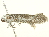  ( - BIOUG05361-H03)  @13 [ ] CreativeCommons - Attribution (2013) CBG Photography Group Centre for Biodiversity Genomics
