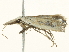  ( - BIOUG05362-A02)  @13 [ ] CreativeCommons - Attribution (2013) CBG Photography Group Centre for Biodiversity Genomics
