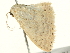  ( - BIOUG05362-C03)  @12 [ ] CreativeCommons - Attribution (2013) CBG Photography Group Centre for Biodiversity Genomics