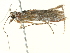  ( - BIOUG05362-C06)  @12 [ ] CreativeCommons - Attribution (2013) CBG Photography Group Centre for Biodiversity Genomics