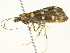  ( - BIOUG05362-D07)  @13 [ ] CreativeCommons - Attribution (2013) CBG Photography Group Centre for Biodiversity Genomics