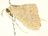  ( - BIOUG05362-G03)  @12 [ ] CreativeCommons - Attribution (2013) CBG Photography Group Centre for Biodiversity Genomics