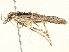  ( - BIOUG05362-G05)  @12 [ ] CreativeCommons - Attribution (2013) CBG Photography Group Centre for Biodiversity Genomics