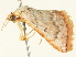  ( - BIOUG05362-G06)  @13 [ ] CreativeCommons - Attribution (2013) CBG Photography Group Centre for Biodiversity Genomics